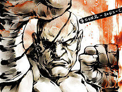 ◆怀念街机-街头霸王.SAGAT