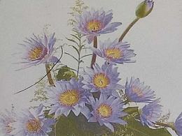 几何图形的转变