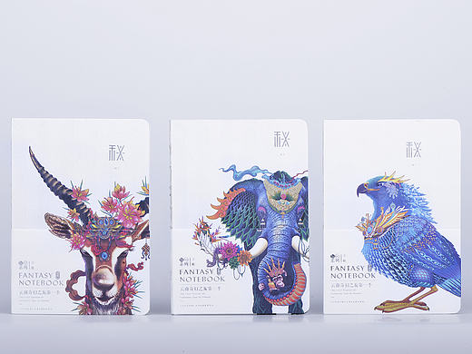 云南奇幻之旅-秘Mi品牌包装