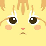 小白lrc的头像