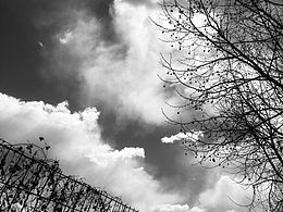 北京的天是你不懂的天[z大哭]