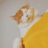xueger的头像