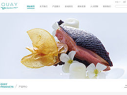 公司網(wǎng)頁設(shè)計