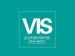 VI手册