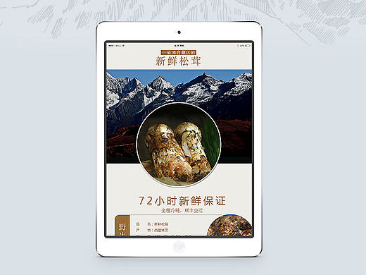 原创作品：淘宝详情页/舌尖上的中国推荐/养生保健/松茸/出口国外/美食特产/电商描述页