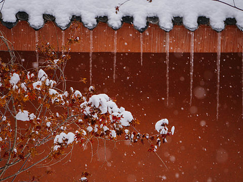 又是一年初雪时