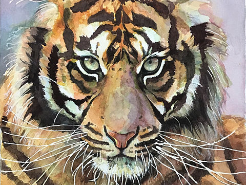 心有猛虎 细嗅蔷薇