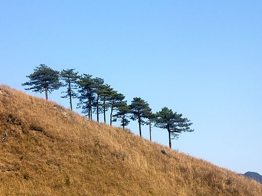 金色武功山（個人主頁-ZMTI1NDkzMjA=） - 風(fēng)光攝影 - 站酷設(shè)計(jì)師CAIWEIJIAN原創(chuàng)素材 - 站酷ZCOOL