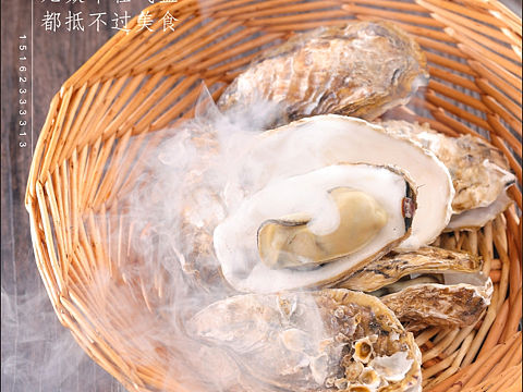 烧烤🔥美食