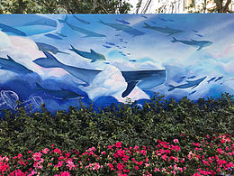 上海浦东楼盘小区 墙绘 蓝天海洋飞鱼