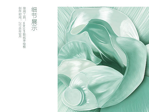 化妆品小清新花瓣插画