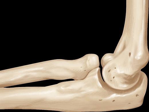 骨骼前后視圖（個人主頁-ZNDkzMjE2MjA=） - 創(chuàng)作習作 - 站酷設(shè)計師Z39597665原創(chuàng)素材 - 站酷ZCOOL