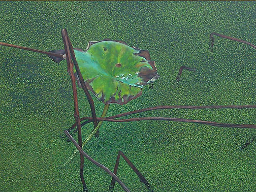 油画 装饰画 