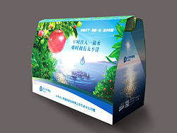 太平洋人寿保险苹果礼盒