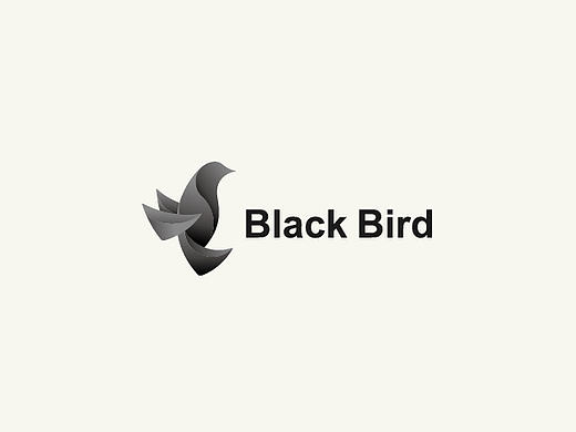 Black Bird  VI设计