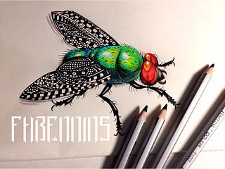 △FHBENNINS△：昆虫记