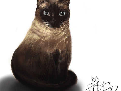 一只叫狗子的猫（个人主页-ZNTYxNjU1MDA=） - 绘画 - 站酷设计师林木子豆豆花原创素材 - 站酷ZCOOL