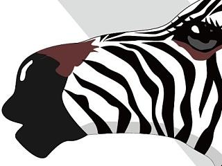 running man（個人主頁-ZNjE5MTE4OA==） - 新銳潮流插畫 - 站酷設(shè)計師carmenlorljw原創(chuàng)素材 - 站酷ZCOOL