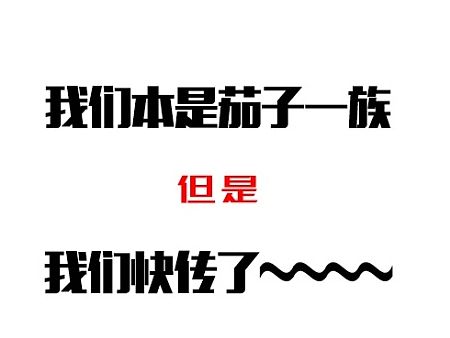 茄子快传组合
