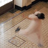 桃子_Ceci的头像