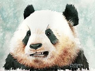 熊猫水彩插画