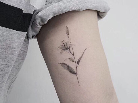 精致创意纹身彩色黑灰搭配构图.宝鸡纹身佳佳刺青