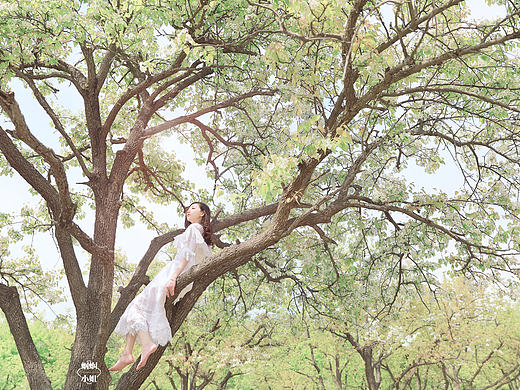 The blossom 