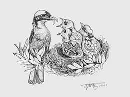 插画
