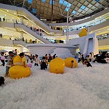 野鹿塬的头像