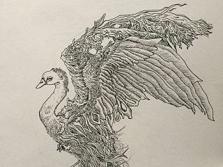 针管笔和圆珠笔画 （ellen jewett 奇幻动物雕塑）临摹