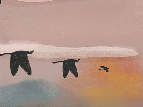 白露（个人主页-ZMzAxMTYwNDA=） - 商业插画 - 站酷设计师正一山俏原创素材 - 站酷ZCOOL