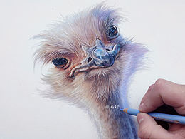 扁平插画