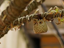 【渣攝】16年8月較場尾一日隨拍