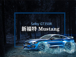 野馬網頁詳情頁設計