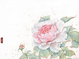 花卉