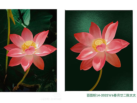 百图斩13（个人主页-ZNjAyMDM2NjA=） - 创作习作 - 站酷设计师春月廿二_陈太太原创素材 - 站酷ZCOOL