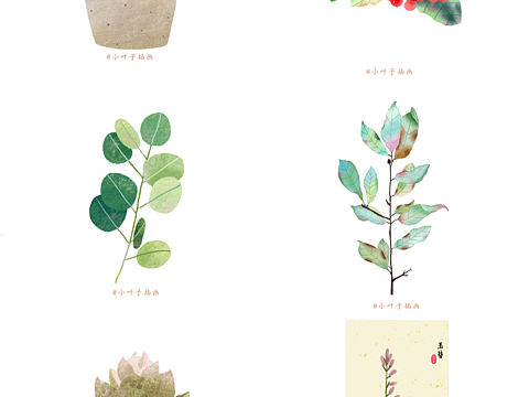 植物小练习