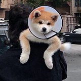 Cunhua的头像