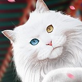 無昂的头像
