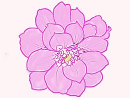 花朵变色