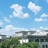 新新哦的头像
