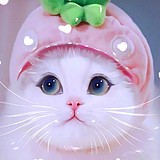 雨兮y的头像