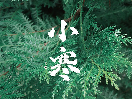 大寒小寒節氣桌布