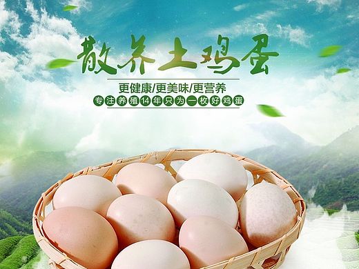 农家山鸡蛋详情（个人主页-ZMTM0MjE5NjA=） - 电商 - 站酷设计师小娜1原创素材 - 站酷ZCOOL