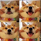 天之将明的头像