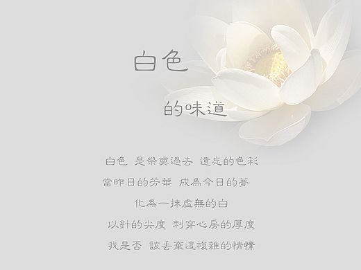 白色的味道时间轴