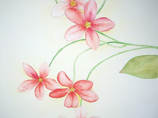 小花花??（個人主頁-ZMzE3NDM2MDA=） - 創(chuàng)作習(xí)作 - 站酷設(shè)計(jì)師畫畫的董董原創(chuàng)素材 - 站酷ZCOOL