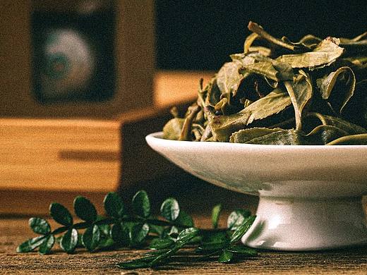 茶