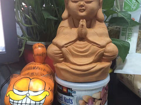 猫逗