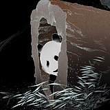 Qiu林同学的头像